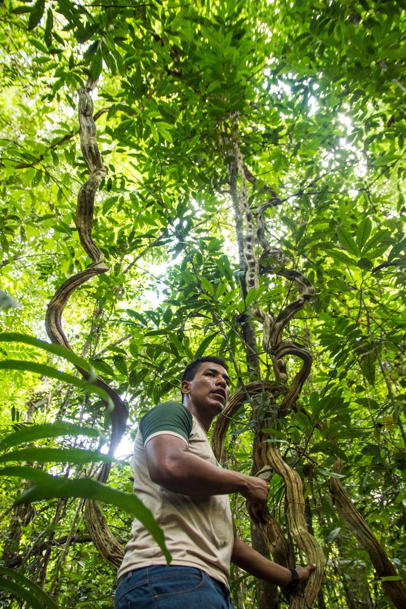  <div class='credito_fotos'>Foto: Pedro Guerreiro / Ag. Pará   |   <a href='/midias/2019/originais/5747_9d9327cc-53d6-52c2-eac8-574621eba86b.jpg' download><i class='fa-solid fa-download'></i> Download</a></div>