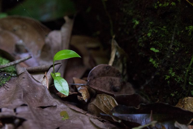 <div class='credito_fotos'>Foto: Pedro Guerreiro / Ag. Pará   |   <a href='/midias/2019/originais/5747_ba53d287-579c-97b3-c60d-3789f7a6734f.jpg' download><i class='fa-solid fa-download'></i> Download</a></div>