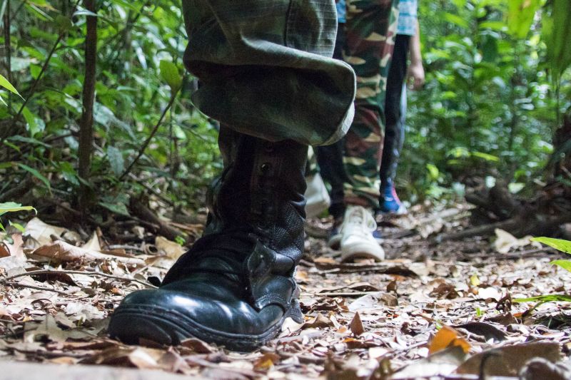  <div class='credito_fotos'>Foto: Pedro Guerreiro / Ag. Pará   |   <a href='/midias/2019/originais/5747_fc2f0e48-cc28-6c73-d760-55c7bb85ba2f.jpg' download><i class='fa-solid fa-download'></i> Download</a></div>