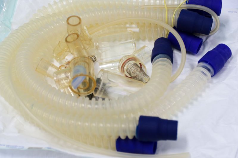  <div class='credito_fotos'>Foto: Pedro Guerreiro / Ag. Pará   |   <a href='/midias/2019/originais/5754_0cb6efa5-f4af-b8fe-7ef6-115f0dda6fb7.jpg' download><i class='fa-solid fa-download'></i> Download</a></div>