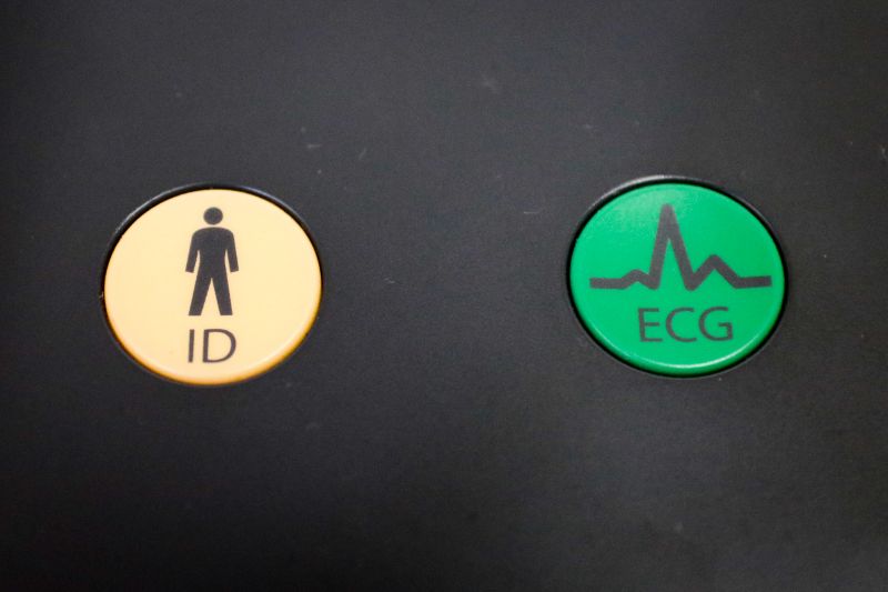  <div class='credito_fotos'>Foto: Pedro Guerreiro / Ag. Pará   |   <a href='/midias/2019/originais/5754_27b1a6b7-665e-ed45-c846-91d46049d180.jpg' download><i class='fa-solid fa-download'></i> Download</a></div>