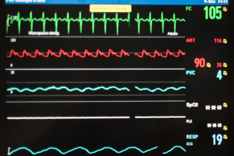  <div class='credito_fotos'>Foto: Pedro Guerreiro / Ag. Pará   |   <a href='/midias/2019/originais/5754_e4b8f6f5-de7d-ab58-249b-fb007addd108.jpg' download><i class='fa-solid fa-download'></i> Download</a></div>