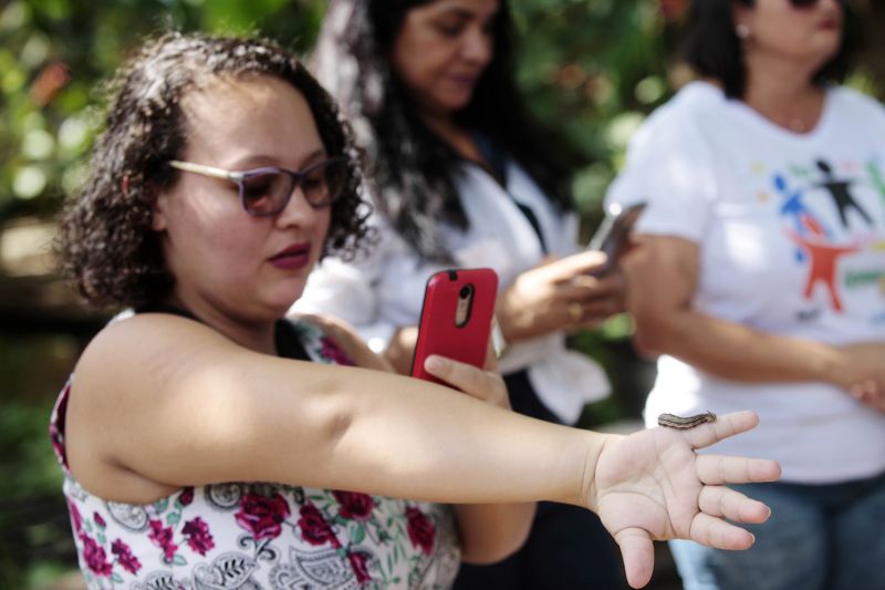 Quando a autônoma Tainara Paula, residente em Bragança (nordeste do estado), aceitou o convite dos sogros para um passeio no parque zoobotânico Mangal das Garças, na capital paraense, não imaginou a experiência que teria.  <div class='credito_fotos'>Foto: Bruno Cecim / Ag.Pará   |   <a href='/midias/2019/originais/5774_567360dd-d68b-8594-c006-f597219690df.jpg' download><i class='fa-solid fa-download'></i> Download</a></div>