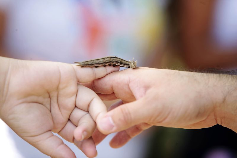 Quando a autônoma Tainara Paula, residente em Bragança (nordeste do estado), aceitou o convite dos sogros para um passeio no parque zoobotânico Mangal das Garças, na capital paraense, não imaginou a experiência que teria.  <div class='credito_fotos'>Foto: Bruno Cecim / Ag.Pará   |   <a href='/midias/2019/originais/5774_91bd8197-fa5a-f46e-d68e-bcf16c954be7.jpg' download><i class='fa-solid fa-download'></i> Download</a></div>