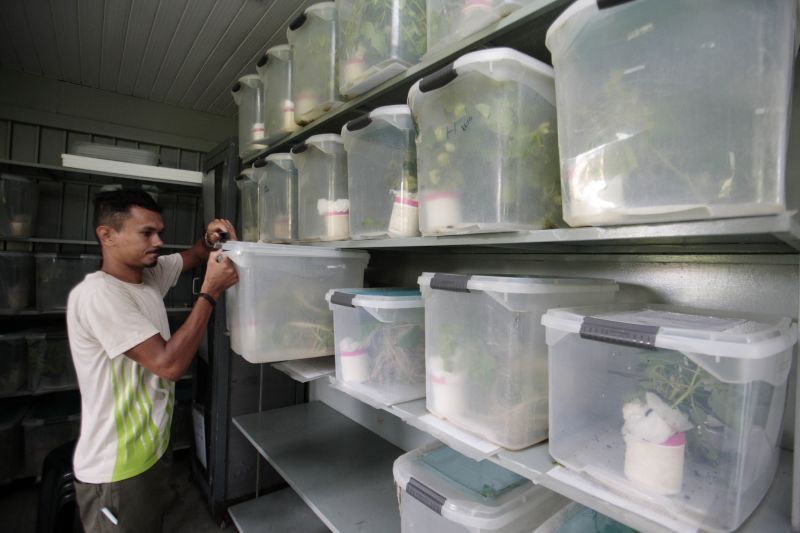 Quando a autônoma Tainara Paula, residente em Bragança (nordeste do estado), aceitou o convite dos sogros para um passeio no parque zoobotânico Mangal das Garças, na capital paraense, não imaginou a experiência que teria.  <div class='credito_fotos'>Foto: Bruno Cecim / Ag.Pará   |   <a href='/midias/2019/originais/5774_b54411cc-fa6e-7ea7-06e8-e372f8f50854.jpg' download><i class='fa-solid fa-download'></i> Download</a></div>