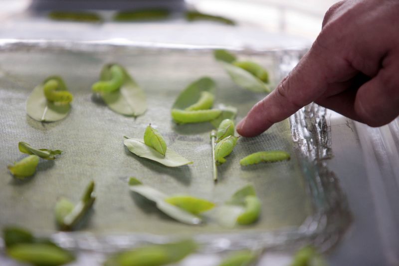 Quando a autônoma Tainara Paula, residente em Bragança (nordeste do estado), aceitou o convite dos sogros para um passeio no parque zoobotânico Mangal das Garças, na capital paraense, não imaginou a experiência que teria.  <div class='credito_fotos'>Foto: Bruno Cecim / Ag.Pará   |   <a href='/midias/2019/originais/5774_b9cbef5b-dbb7-7466-2914-7508395d1519.jpg' download><i class='fa-solid fa-download'></i> Download</a></div>
