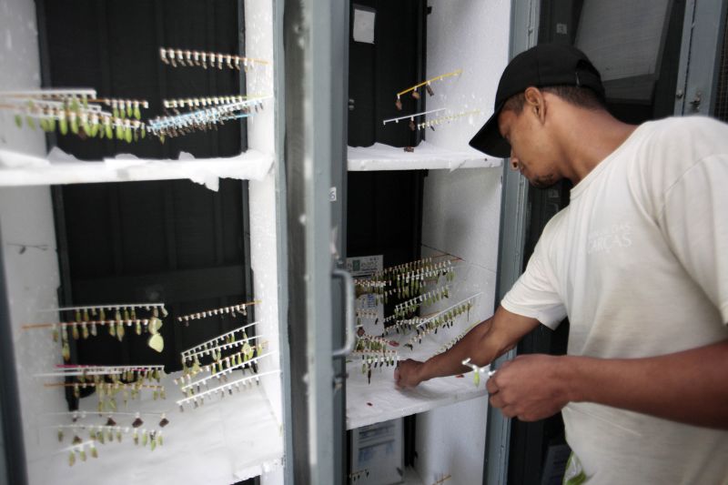 Quando a autônoma Tainara Paula, residente em Bragança (nordeste do estado), aceitou o convite dos sogros para um passeio no parque zoobotânico Mangal das Garças, na capital paraense, não imaginou a experiência que teria.  <div class='credito_fotos'>Foto: Bruno Cecim / Ag.Pará   |   <a href='/midias/2019/originais/5774_e9e7620f-72fe-0628-467d-afea41f5b01b.jpg' download><i class='fa-solid fa-download'></i> Download</a></div>