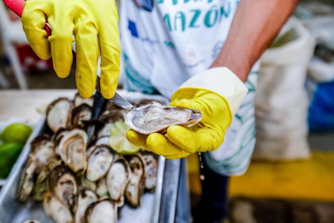 Com o objetivo de incentivar o consumo do pescado e não deixar faltar o alimento no período onde católicos não ingerem carne vermelha, começou nesta quarta-feira (17), a Feira do Pescado 2019, promovida pela Secretaria Estadual de Desenvolvimento Agropecuário e da Pesca (Sedap). O evento acontece, simultâneamente, em oito pontos da região metropolitana (sendo seis em Belém, um em Ananindeua e outro em Marituba) e em outros 47 municípios do interior paraense, em parceria com as respectivas prefeituras.

FOTO: MAYCON NUNES / AGÊNCIA PARÁ
DATA: 17.04.2019
BELÉM - PARÁ <div class='credito_fotos'>Foto: Maycon Nunes / Ag. Pará   |   <a href='/midias/2019/originais/5c4d40ad-a3e7-4403-bde6-eeda2f22d96f.jpg' download><i class='fa-solid fa-download'></i> Download</a></div>