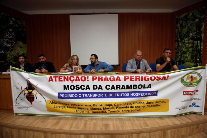 Técnicos e especialistas de instituições de pesquisas e órgãos fiscalizadores que integram o Programa Nacional de Erradicação da Mosca da Carambola participaram, na manhã desta quarta-feira (23), de uma reunião técnica no auditório da Embrapa. O objetivo do encontro era traçar um plano de ação integrado para o combate e erradicação da praga da Mosca da Carambola no Estado do Pará. 

FOTO: FERNANDO ARAÚJO/AG. PARÁ
DATA: 23.01.2019
BELÉM - PÁRÁ <div class='credito_fotos'>Foto: Fernando Araújo/Ag. Pará   |   <a href='/midias/2019/originais/61ab9a32-e8f4-4580-83d7-a15e9cf1f74e.jpg' download><i class='fa-solid fa-download'></i> Download</a></div>