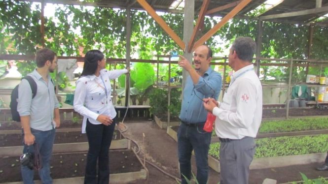 Diretora executiva do HRPM recepciona visita de representantes da saúde do I Seminário Regional de Malária, realizado em Breves. A gestora apresenta a horta 100% orgânica aos visitantes.

FOTO: ASCOM / HRPM
DATA: 18.04.2019
BELÉM - PARÁ <div class='credito_fotos'>Foto: Ascom HRPM   |   <a href='/midias/2019/originais/68fb0c62-5960-471d-91b7-f87454f5bf6c.jpg' download><i class='fa-solid fa-download'></i> Download</a></div>