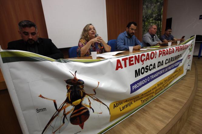 Técnicos e especialistas de instituições de pesquisas e órgãos fiscalizadores que integram o Programa Nacional de Erradicação da Mosca da Carambola participaram, na manhã desta quarta-feira (23), de uma reunião técnica no auditório da Embrapa. O objetivo do encontro era traçar um plano de ação integrado para o combate e erradicação da praga da Mosca da Carambola no Estado do Pará. 

FOTO: FERNANDO ARAÚJO/AG. PARÁ
DATA: 23.01.2019
BELÉM - PÁRÁ <div class='credito_fotos'>Foto: Fernando Araújo/Ag. Pará   |   <a href='/midias/2019/originais/6c28af8f-21bf-41e6-981e-5833273a26d5.jpg' download><i class='fa-solid fa-download'></i> Download</a></div>