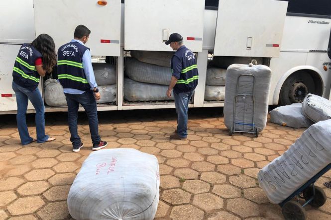 Um ônibus de turismo procedente de São Paulo com destino à Belém foi parado, na tarde da última segunda (22), na unidade de coordenação de mercadorias em trânsito da Secretaria da Fazenda no Itinga, na BR-010, em Dom Eliseu. Na bagagem, a fiscalização localizou fardos de confecções sem nota fiscal.

FOTO: ASCOM / SEFA
DATA: 24.04.2019
DOM ELISEU  - PARÁ <div class='credito_fotos'>Foto: ASCOM / SEFA   |   <a href='/midias/2019/originais/6d3447f4-46a2-4605-9ba5-949364e18900.jpg' download><i class='fa-solid fa-download'></i> Download</a></div>