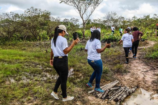 Trezentas e cinquenta mudas de árvores foram plantadas, na manhã desta sexta-feira (29), no Parque Estadual do Utinga, durante mais uma atividade da programação da Semana da Festa Anual das Árvores, iniciada no último dia 25. O evento é promovido pelo Instituto de Desenvolvimento Florestal e da Biodiversidade do Estado do Pará (Ideflor-BIO) e conta também com palestras e trilhas ecológicas voltadas à educação e conscientização ambiental.

FOTO: MAYCON NUNES / AGÊNCIA PARÁ
DATA: 29.03.2019
BELÉM - PA <div class='credito_fotos'>Foto: Maycon Nunes / Ag. Pará   |   <a href='/midias/2019/originais/6de2c681-641b-4d01-94a5-3d398d2c662a.jpg' download><i class='fa-solid fa-download'></i> Download</a></div>