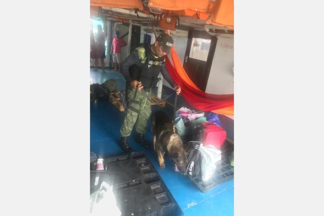 Na manhã desta quarta-feira (17), cerca de 300 quilos de pirarucu e mais de uma tonelada e meia de outras espécies de pescado sem procedência e nota fiscal, além de diversos produtos de origem chinesa, como equipamentos eletrônicos, foram apreendidos no furo do Carnapijó, próximo ao município de Barcarena, na região do Baixo Tocantins, por quase 15 policiais. A embarcação que transportava a carga foi conduzida até um porto, em Belém.

FOTO: ASCOM / SEGUP
DATA: 17.04.2019
BELÉM - PARÁ <div class='credito_fotos'>Foto: ASCOM / SEGUP   |   <a href='/midias/2019/originais/7222824c-b3f3-492d-b56a-d5cae9c9cdc8.jpg' download><i class='fa-solid fa-download'></i> Download</a></div>