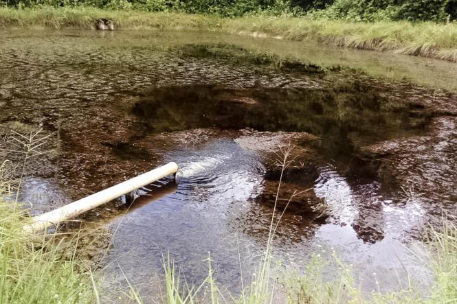 Nesta sexta-feira (15), um mutirão de limpeza foi realizado na área da unidade, é o início de muito trabalho. Neste primeiro momento, foram realizados serviços de capina e limpeza dos tanques. A ação pode ser desenvolvida, graças a um trabalho em conjunto com vários órgãos do Estado na região.

FOTO: INGRID SUSSUARANA / ASCOM CRGSP
DATA: 16.03.2019
SANTARÉM - PA

















































































































































































 <div class='credito_fotos'>Foto: INGRID SUSSUARANA / ASCOM CRGSP   |   <a href='/midias/2019/originais/77e2af01-3aa3-41f0-b386-348f448b7595.jpg' download><i class='fa-solid fa-download'></i> Download</a></div>