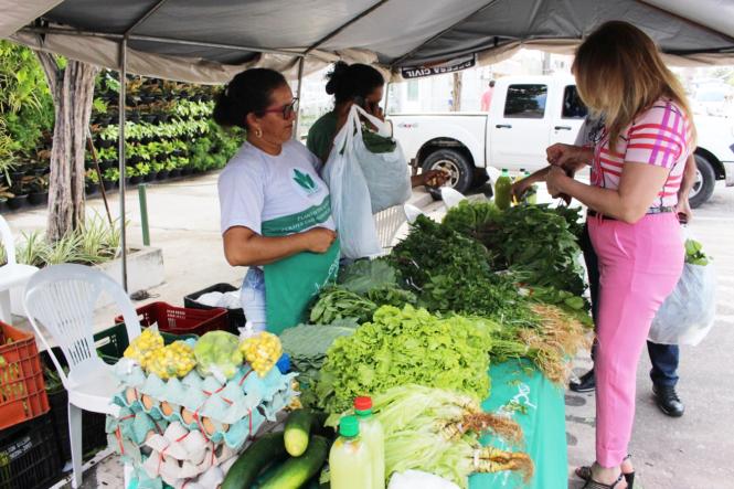 A 1ª Feira da Agricultura Familiar em 2019, que oferece produtos agroecológicos ao público – sem agrotóxicos, adubados por meio de compostagem – vai ocorrer na frente da sede da Secretaria de Meio Ambiente e Sustentabilidade (Semas), na sexta-feira (12), a partir de 7 horas, direcionado ao público da vizinhança do órgão ambiental do Pará. A atividade é um dos frutos do Programa de Educação Ambiental e Agricultura Familiar (Peaaf/PA), sob liderança da Coordenadoria de Educação Ambiental (Ceam), da Semas.

FOTO; ASCOM SEMAS
DATA: 10.04.2019
BELÉM - PA <div class='credito_fotos'>Foto: ASCOM / SEMAS   |   <a href='/midias/2019/originais/788b512a-c3f4-46c0-91b6-3b33bb5563ad.jpg' download><i class='fa-solid fa-download'></i> Download</a></div>