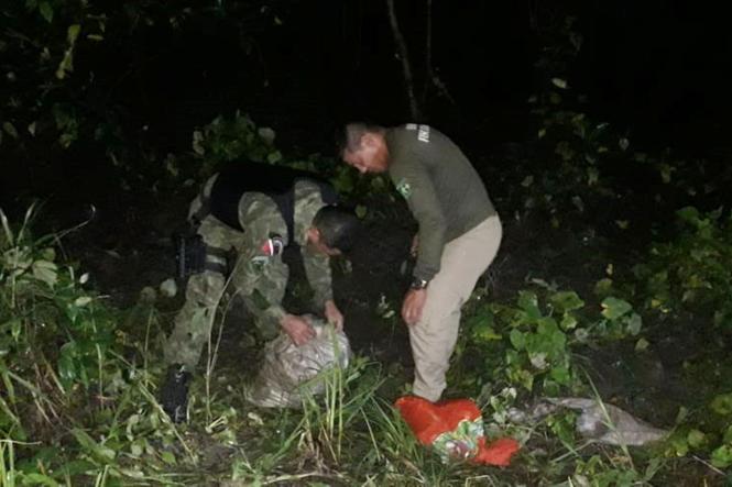 Cerca 5.500 caranguejos foram devolvidos a natureza durante o período de defeso que encerra hoje. Os crustáceos foram apreendidos por fiscais da Secretaria estadual de Meio Ambiente e Sustentabilidade (Semas) em parceria com batalhão de Polícia Ambiental (BPA) e as prefeituras dos municípios de Marapanim, Vigia, São Caetano de Odivelas e Santo Antônio do Tauá. As equipes encontraram os animais vivos sendo transportados em sacas. Para tentar fugir da fiscalização alguns vendedores fizeram o transporte durante a noite e de madrugada, mas mesmo assim, foram fiscalizados.

FOTO: ASCOM  / SEMAS
DATA: 25.02.2019
BELÉM - PA <div class='credito_fotos'>Foto: ASCOM / SEMAS   |   <a href='/midias/2019/originais/791cfdc3-72a1-4cea-8457-17f19dccaf0e.jpg' download><i class='fa-solid fa-download'></i> Download</a></div>