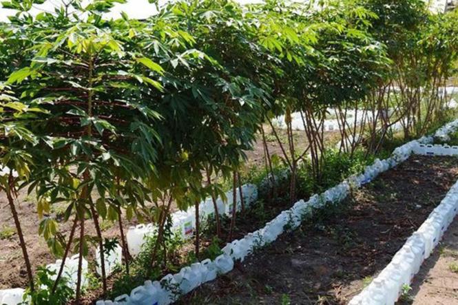 Sem Descrição <div class='credito_fotos'>Foto: Divulgação   |   <a href='/midias/2019/originais/849a3383-21dc-4b63-b88f-eb8fc92214d3.jpg' download><i class='fa-solid fa-download'></i> Download</a></div>