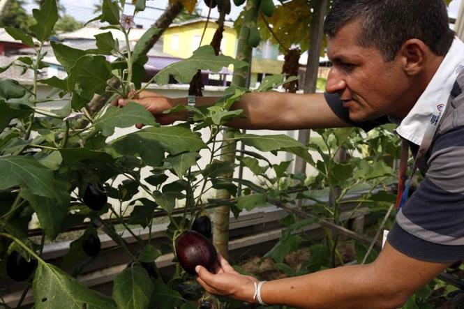 Internada há oito dias no HRPM, onde encontra-se em pós- operatório de uma colecistectomia  (retirada cirúrgica da vesícula biliar), a usuária Lindete Maria Oliveira da paz, 52 anos, aprovou 100% a alimentação servida, diariamente. 


FOTO: DIVULGAÇÃO / HRPM <div class='credito_fotos'>Foto: Divulgação   |   <a href='/midias/2019/originais/8d0410cf-a4fd-4184-ae3d-efa1459a0299.jpg' download><i class='fa-solid fa-download'></i> Download</a></div>
