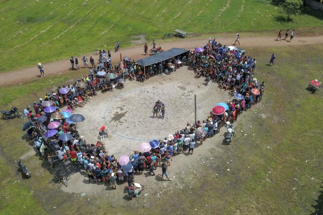 Depois de passar por Salvaterra e Soure, no Marajó, o governador Helder Barbalho foi até o município de Cachoeira do Arari, onde ocorria, neste domingo (20), a festividade de São Sebastião, considerado como o padroeiro dos vaqueiros do Marajó. No local, o governador visitou, acompanhado pelo prefeito Jaime Barbosa, secretários de Estado e deputados estaduais e federais, o Museu do Marajó, fechado para o público desde dezembro do ano passado por conta de problemas apontados pelo Corpo de Bombeiros. Lá, o chefe do Executivo Estadual assinou um protocolo de intenções com a prefeitura municipal e a presidência do Museu do Marajó, para viabilizar a adequação e recuperação do imóvel que abriga a instituição.

FOTO: MARCO SANTOS/AGÊNCIA PARÁ
DATA; 20.01.2019
CACHOEIRA DO ARARI - PARÁ <div class='credito_fotos'>Foto: Marco Santos / Ag. Pará   |   <a href='/midias/2019/originais/93b7405a-8110-4e45-b52c-011a3920e2c9.jpg' download><i class='fa-solid fa-download'></i> Download</a></div>