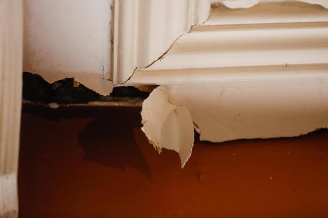 Sem Descrição <div class='credito_fotos'>Foto: Wagner Santana / Ag. Pará   |   <a href='/midias/2019/originais/96128bda-86c7-4c4d-8d74-41a923dabd21.jpg' download><i class='fa-solid fa-download'></i> Download</a></div>