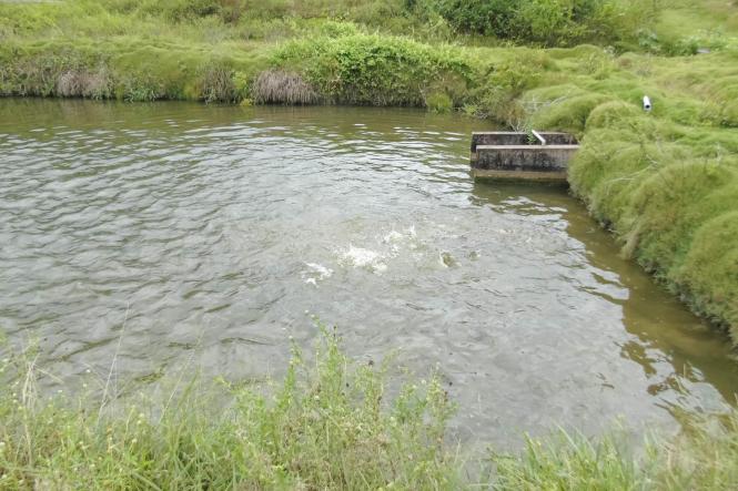 Nesta sexta-feira (15), um mutirão de limpeza foi realizado na área da unidade, é o início de muito trabalho. Neste primeiro momento, foram realizados serviços de capina e limpeza dos tanques. A ação pode ser desenvolvida, graças a um trabalho em conjunto com vários órgãos do Estado na região.

FOTO: INGRID SUSSUARANA / ASCOM CRGSP
DATA: 16.03.2019
SANTARÉM - PA

















































































































































































 <div class='credito_fotos'>Foto: INGRID SUSSUARANA / ASCOM CRGSP   |   <a href='/midias/2019/originais/982a9ffe-2212-499c-80ff-ef09780b1d42.jpg' download><i class='fa-solid fa-download'></i> Download</a></div>