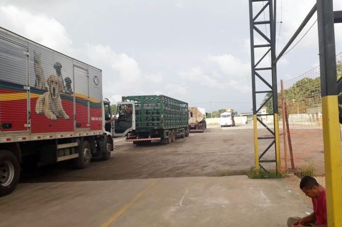 A Agência de Regulação e Controle dos Serviços Públicos do Pará (Arcon-Pa) iniciou a operação de travessia Belém-Barcarena para veículos pesados no Porto da Comara, localizado na rodovia Arthur Bernardes, em Belém. A nova alternativa de travessia vai desafogar o fluxo de caminhões que antes se dirigia para o porto da Celte, na avenida Bernardo Sayão.

FOTO: ASCOM / ARCON
DATA: 30.04.2019
BELÉM - PARÁ <div class='credito_fotos'>Foto: ASCOM / ARCON   |   <a href='/midias/2019/originais/9aa30110-e0c1-4cb3-bcd4-63abbe1452ca.jpg' download><i class='fa-solid fa-download'></i> Download</a></div>