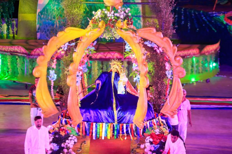 Próximo de Santarém, na Vila de Alter do Chão, no oeste do Pará, tem uma pergunta que é ouvida com frequência nas rodas de conversa: quem teve a melhor apresentação durante a noite da batalha dos botos? Tucuxi ou Cor de Rosa?  <div class='credito_fotos'>Foto: Marco Santos / Ag. Pará   |   <a href='/midias/2019/originais/Copia(01)_5482_cairebotocorderosa-fotomarcosantos-8.jpg' download><i class='fa-solid fa-download'></i> Download</a></div>