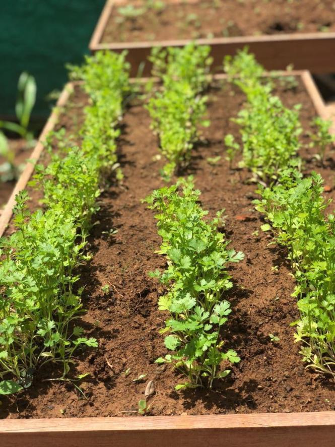 Servidores que demonstram práticas individuais que superam as competências funcionais e repercutem positivamente no ambiente de trabalho, com reflexo na melhoria da qualidade de vida e no clima organizacional na Secretaria de Meio Ambiente e Sustentabilidade (Semas), têm recebido apoio da instituição ambiental, por meio da Coordenadoria de Gestão de Pessoas (CGP), por atuar em a favor do meio ambiente, da sustentabilidade e da relação interpessoal no órgão ambiental do Pará. No ano de 2018, a CGP também promoveu o projeto Projeto RH Itinerante: Qualidade de Vida para o Servidor (foto), que reforçou a integração entre os funcionários e esclareceu o funcionamento da Semas, esclarecendo a tramitação necessária aos processos e os direitos e deveres de cada profissional e dos estagiários. A atividade percorreu as diretorias da secretaria, o Centro Integrado de Monitoramento Ambiental (Cimam) e os Núcleos Regionais (Nures) sediados nos municípios de Paragominas, nordeste do Pará; Altamira, região Xingu; Itaituba, Tapajós; e Santarém no Baixo Amazonas.

FOTO: ASCOM / SEMAS
DATA: 04.01.2019
BELÉM - PARÁ <div class='credito_fotos'>Foto: ASCOM SEMAS   |   <a href='/midias/2019/originais/a5996191-bf37-4088-8e6d-781660ba0c36.jpg' download><i class='fa-solid fa-download'></i> Download</a></div>