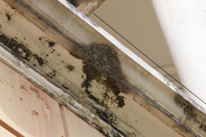 Sem Descrição <div class='credito_fotos'>Foto: Wagner Santana / Ag. Pará   |   <a href='/midias/2019/originais/b0262047-d78b-4d21-920b-9a4e52b75b3f.jpg' download><i class='fa-solid fa-download'></i> Download</a></div>