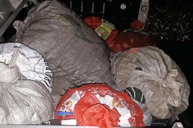 Cerca 5.500 caranguejos foram devolvidos a natureza durante o período de defeso que encerra hoje. Os crustáceos foram apreendidos por fiscais da Secretaria estadual de Meio Ambiente e Sustentabilidade (Semas) em parceria com batalhão de Polícia Ambiental (BPA) e as prefeituras dos municípios de Marapanim, Vigia, São Caetano de Odivelas e Santo Antônio do Tauá. As equipes encontraram os animais vivos sendo transportados em sacas. Para tentar fugir da fiscalização alguns vendedores fizeram o transporte durante a noite e de madrugada, mas mesmo assim, foram fiscalizados.

FOTO: ASCOM  / SEMAS
DATA: 25.02.2019
BELÉM - PA <div class='credito_fotos'>Foto: ASCOM / SEMAS   |   <a href='/midias/2019/originais/b0963a44-9219-4f3b-9f80-fe66210a62a7.jpg' download><i class='fa-solid fa-download'></i> Download</a></div>