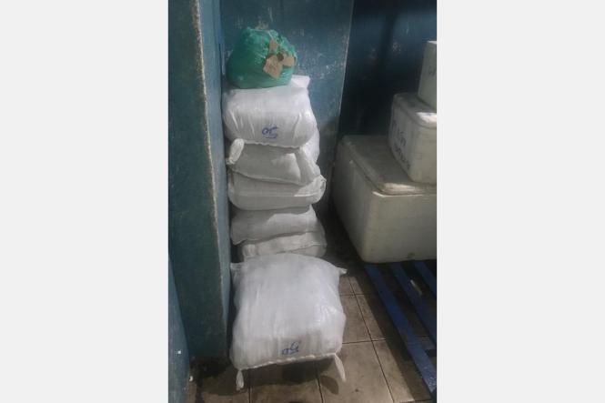 Na manhã desta quarta-feira (17), cerca de 300 quilos de pirarucu e mais de uma tonelada e meia de outras espécies de pescado sem procedência e nota fiscal, além de diversos produtos de origem chinesa, como equipamentos eletrônicos, foram apreendidos no furo do Carnapijó, próximo ao município de Barcarena, na região do Baixo Tocantins, por quase 15 policiais. A embarcação que transportava a carga foi conduzida até um porto, em Belém.

FOTO: ASCOM / SEGUP
DATA: 17.04.2019
BELÉM - PARÁ <div class='credito_fotos'>Foto: ASCOM / SEGUP   |   <a href='/midias/2019/originais/b1470419-77d2-4989-863f-e987434cc45f.jpg' download><i class='fa-solid fa-download'></i> Download</a></div>