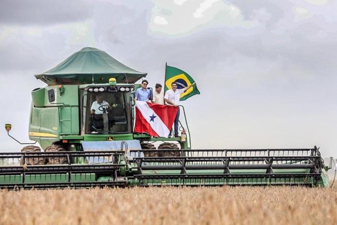 O governador Helder Barbalho participou, neste sábado (23), do início da colheita de soja e do plantio de milho safrinha na Fazenda Cristo Rei, em Belterra, no oeste do Pará. Este ano, a cerimônia também comemora o aumento da produção na região em relação ao ano passado. Está prevista a colheita de 3,3 toneladas por hactare, 200 quilos a mais que a colheita do ano anterior. Ao todo, o oeste paraense tem 70 mil hactares de área plantada, em três municípios: Santarém, Belterra e Mojuí dos Campos.

FOTO: MARCO SANTOS / AG. PARÁ
DATA: 23.03.2019
BELTERRA - PARÁ <div class='credito_fotos'>Foto: Marco Santos / Ag. Pará   |   <a href='/midias/2019/originais/b205f0f5-650a-421c-83f9-7a7211fadf26.jpg' download><i class='fa-solid fa-download'></i> Download</a></div>
