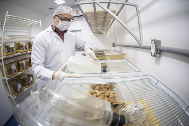 Biotério do Centro de Ciências Biológicas e da Saúde (CCBS), CAMPUS II da Universidade do Estado do Pará (Uepa).

FOTO: NAILANA THIELY
DATA: 12.04.19
BELÉM-PARÁ <div class='credito_fotos'>Foto: Nailana Thiely / Ascom Uepa   |   <a href='/midias/2019/originais/b32f99b0-eca2-4ee9-af63-2f10fbec0019.jpg' download><i class='fa-solid fa-download'></i> Download</a></div>