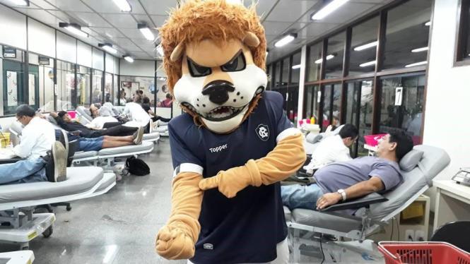 Sem Descrição <div class='credito_fotos'>Foto: Ascom Hemopa   |   <a href='/midias/2019/originais/b91a3e21-da39-4d34-9427-8391f62614a9.jpg' download><i class='fa-solid fa-download'></i> Download</a></div>