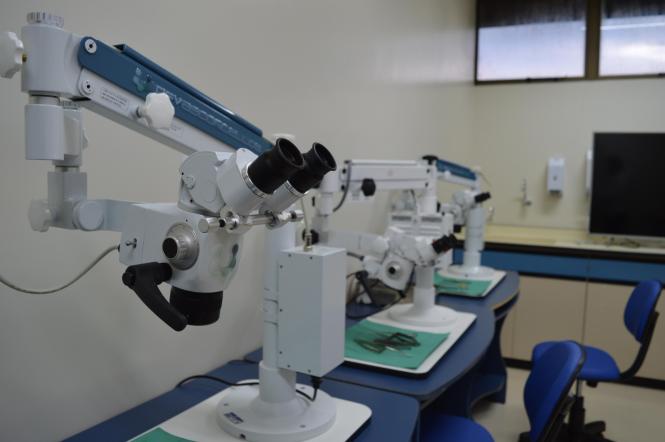 Hospital Regional de Santarém inaugura primeiro Centro de Estudos e Pesquisas da Amazônia
Na foto : Neurocirurgião Erik Jennings

FOTO: DIVULGAÇÃO
DATA: 14.02.2019
SANTARÉM - PARÁ <div class='credito_fotos'>Foto: Divulgação   |   <a href='/midias/2019/originais/bfc011b8-498c-44c6-b786-308ecde230fd.jpg' download><i class='fa-solid fa-download'></i> Download</a></div>