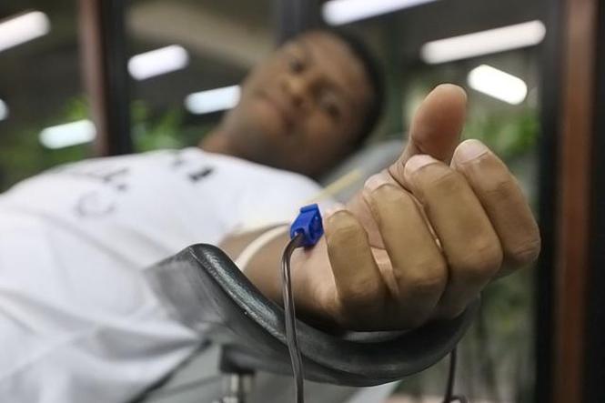 Sem Descrição <div class='credito_fotos'>Foto: Wagner Santana / Ag. Pará   |   <a href='/midias/2019/originais/c058153d-abd0-4bdc-960e-84d3f22b1e70.jpg' download><i class='fa-solid fa-download'></i> Download</a></div>