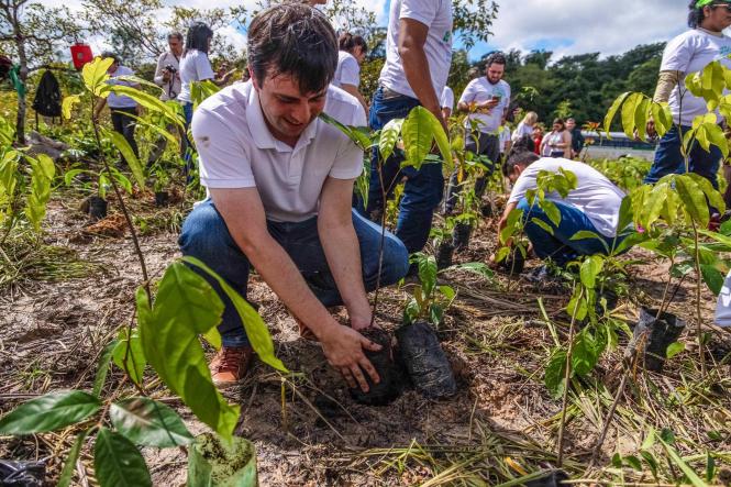 Trezentas e cinquenta mudas de árvores foram plantadas, na manhã desta sexta-feira (29), no Parque Estadual do Utinga, durante mais uma atividade da programação da Semana da Festa Anual das Árvores, iniciada no último dia 25. O evento é promovido pelo Instituto de Desenvolvimento Florestal e da Biodiversidade do Estado do Pará (Ideflor-BIO) e conta também com palestras e trilhas ecológicas voltadas à educação e conscientização ambiental.

FOTO: MAYCON NUNES / AGÊNCIA PARÁ
DATA: 29.03.2019
BELÉM - PA <div class='credito_fotos'>Foto: Maycon Nunes / Ag. Pará   |   <a href='/midias/2019/originais/c6dcf1dd-f785-472b-b31a-c225a90f9f24.jpg' download><i class='fa-solid fa-download'></i> Download</a></div>
