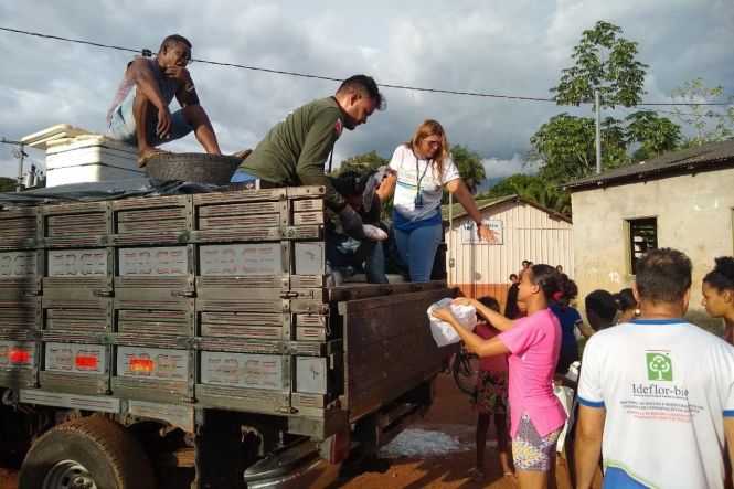 Mais de nove mil metros de malhas de pesca, sete amarradores, sete telões e uma arma caseira foram apreendidos durante a Operação Semana Santa, na região do Mosaico Lago de Tucuruí, no sudeste paraense.

FOTO: ASCOM / IDEFLOR-PA
DATA: 20.04.2019
TUCURUI - PARA <div class='credito_fotos'>Foto: ASCOM / IDEFLOR   |   <a href='/midias/2019/originais/cff912db-bdec-4f2a-a85b-b8431aa65e33.jpg' download><i class='fa-solid fa-download'></i> Download</a></div>