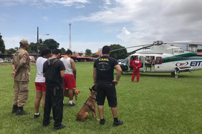 Após dois anos de criação do Canil e intensos meses de treinamentos específicos, Bombeiros Militares e um cão do Grupamento de Busca e Resgate do 4º Grupamento de Bombeiros Militar, realizam os últimos ajustes para embarcarem para Brumadinho (MG). 

FOTO: ASCOM / CBMPA
DATA: 27.03.2019
SANTARÉM - PARÁ <div class='credito_fotos'>Foto: Ascom CBMPA   |   <a href='/midias/2019/originais/d0d9f8aa-2090-4c3e-bea8-1a2d41a9aee4.jpg' download><i class='fa-solid fa-download'></i> Download</a></div>