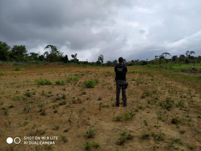 A Polícia Civil do Pará prendeu nesta terça-feira (26), em cumprimento a mandado de prisão temporária, o fazendeiro Fernando Ferreira Rosa Filho, 43 anos, identificado por uma força-tarefa policial como mandante de seis homicídios ocorridos na zona rural do município de Baião, no nordeste paraense. Fernando Filho é dono da fazenda onde três funcionários foram mortos – o casal de caseiros e um tratorista - e tiveram os corpos queimados. A fazenda fica a 14 quilômetros do assentamento Salvador Allende, onde foram mortos o maranhense Claudionor Amaro Costa da Silva, 43 anos; sua esposa, Dilma Ferreira Silva, 45 anos, e Milton Lopes, 38 anos, no início da madrugada do último dia 22.

FOTO: ASCOM / POLÍCIA CIVIL
DATA: 26.03.2019
BAIÃO - PARÁ <div class='credito_fotos'>Foto: Ascom / Polícia Civil   |   <a href='/midias/2019/originais/d31f74a0-a005-4a45-b980-7ac4fed46feb.jpg' download><i class='fa-solid fa-download'></i> Download</a></div>