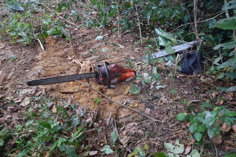 A Diretoria Estadual de Combate à Corrupção (Decor), por meio da Divisão de Repressão à Lavagem de Dinheiro (DRLD), deflagrou mais uma fase da Operação Alpes Tour, em Novo Progresso, sudoeste do Pará, para combater um esquema de lavagem de dinheiro cometido em empresas da cidade e que tem, como "pano de fundo", o tráfico de drogas. As informações foram divulgadas nesta sexta-feira (31).  

FOTO: ASCOM / POLÍCIA CIVIL
DATA: 31.05.2019
NOVO PROGRESSO - PARÁ <div class='credito_fotos'>Foto: Ascom / Polícia Civil   |   <a href='/midias/2019/originais/e9c73230-ac96-46ae-aa9d-a2e56452ba3a.jpg' download><i class='fa-solid fa-download'></i> Download</a></div>