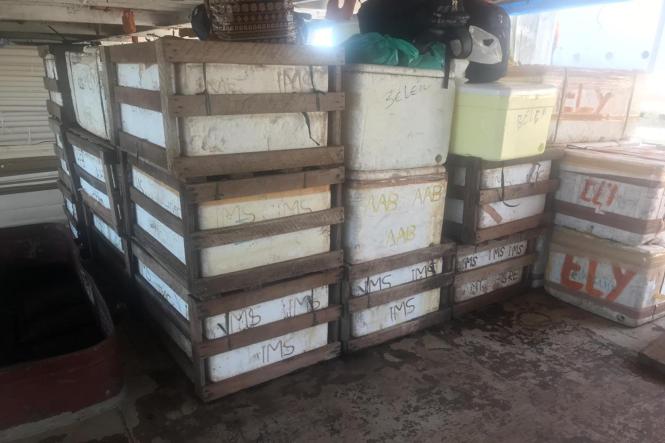 Na manhã desta quarta-feira (17), cerca de 300 quilos de pirarucu e mais de uma tonelada e meia de outras espécies de pescado sem procedência e nota fiscal, além de diversos produtos de origem chinesa, como equipamentos eletrônicos, foram apreendidos no furo do Carnapijó, próximo ao município de Barcarena, na região do Baixo Tocantins, por quase 15 policiais. A embarcação que transportava a carga foi conduzida até um porto, em Belém.

FOTO: ASCOM / SEGUP
DATA: 17.04.2019
BELÉM - PARÁ <div class='credito_fotos'>Foto: ASCOM / SEGUP   |   <a href='/midias/2019/originais/eaf7ee91-23aa-42f6-a964-62afce2f8bfe.jpg' download><i class='fa-solid fa-download'></i> Download</a></div>