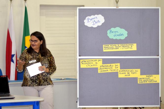 Os integrantes da Câmara Técnica de Comercialização, Agroecologia, Produtos Orgânicos e da Sociobiodiversidade (Ctcapos) reuniram, nesta quinta-feira (14), para elaborar o plano das ações que serão executadas em 2019. O encontro foi na Empresa Brasileira de Pesquisa Agropecuária (Embrapa), onde a câmara foi recebida pelo chefe geral da instituição, Adriano Venturieri.

FOTO: ASCOM / SEDAP
DATA: 15.03.2019
BELÉM - PARÁ <div class='credito_fotos'>Foto: Ascom Sedap   |   <a href='/midias/2019/originais/f5b1e2a4-57d9-4c8f-bff7-cab576c570ab.jpg' download><i class='fa-solid fa-download'></i> Download</a></div>