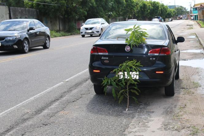 Trânsito é visão, então sinalizar um acidente de trânsito ou um local onde o carro sofre uma pane é algo fundamental para garantir a segurança das pessoas que esperam o socorro chegar e os condutores que passam na via. Em 2018, segundo dados do Departamento de Trânsito do Estado (Detran-PA), 26 pessoas foram autuadas por não sinalizar corretamente a via. O número de infrações é baixo, porém o registro dessas situações são comuns.

FOTO: ASDECOM / DETRAN PA
DATA: 19.02.2019
BELÉM - PA <div class='credito_fotos'>Foto: ASDECOM / DETRAN   |   <a href='/midias/2019/originais/f8a06816-8318-4f31-a586-591a954a3ac4.jpg' download><i class='fa-solid fa-download'></i> Download</a></div>