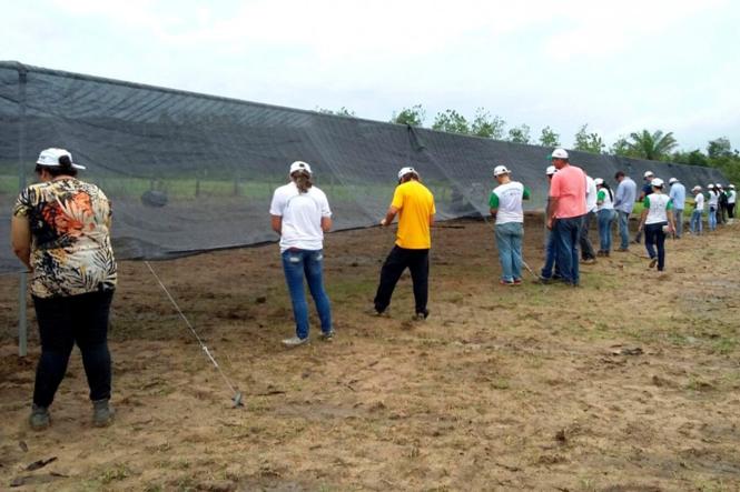 Mais de 40 novos viveiros de mudas foram instalados em municípios paraenses em 2018.

FOTO: ASCOM  IDEFLOR 
DATA: 01.02.2019
BELÉM - PARÁ <div class='credito_fotos'>Foto: Ascom Ideflor   |   <a href='/midias/2019/originais/fe997299-8e91-45e2-8caf-4c7249c22aec.jpg' download><i class='fa-solid fa-download'></i> Download</a></div>