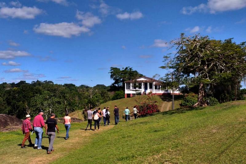 Chocolates, joias, flores e toda a saborosa diversidade do cacau paraense serão atrações do Festival em Ilhéus