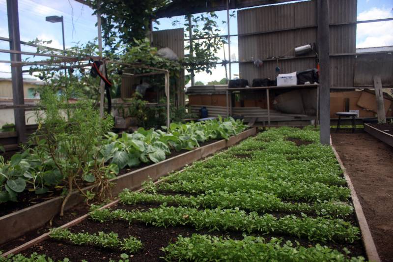 Crédito: Ascom / HRPM