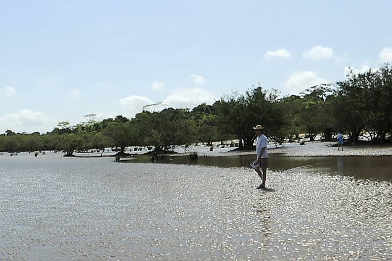Praia no Rio Amazonas Coatá
