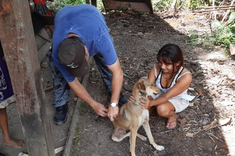 Foram vacinados 445 cães e gatos